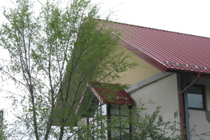 tornaterem tetőcsere